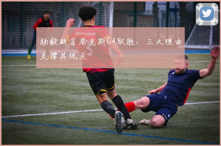 杨毅断言尼克斯G4取胜,三大理由支撑其观点