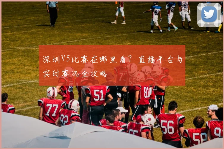 深圳V5比赛在哪里看?直播平台与实时赛况全攻略